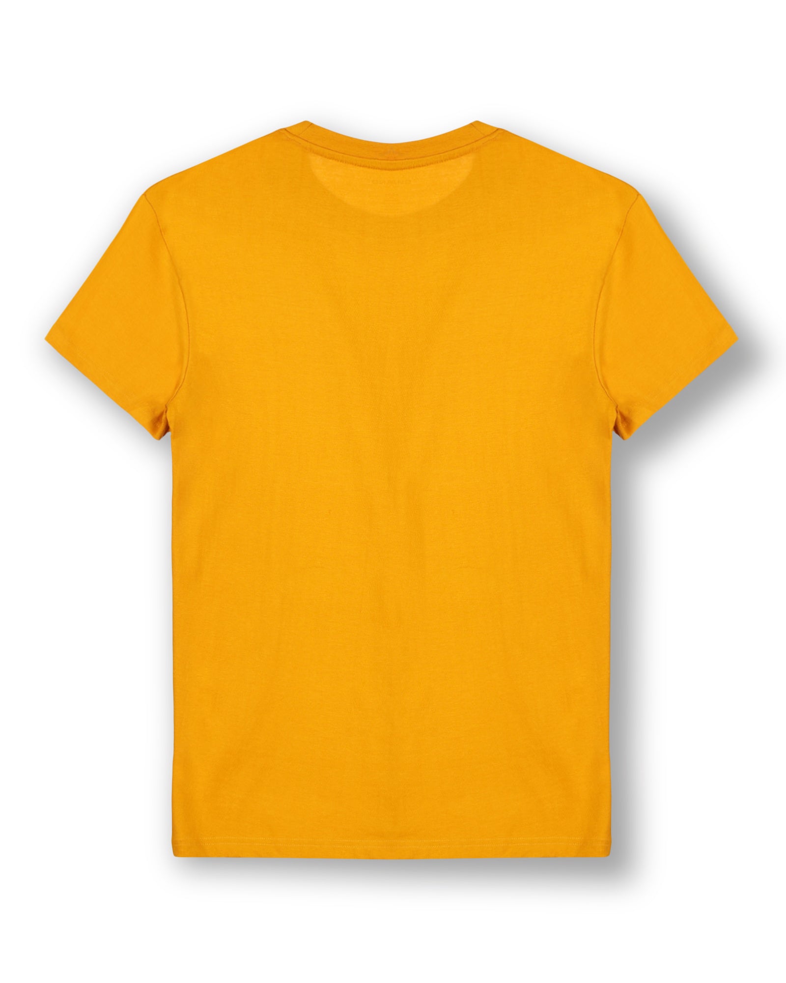 WTS004 Mustard